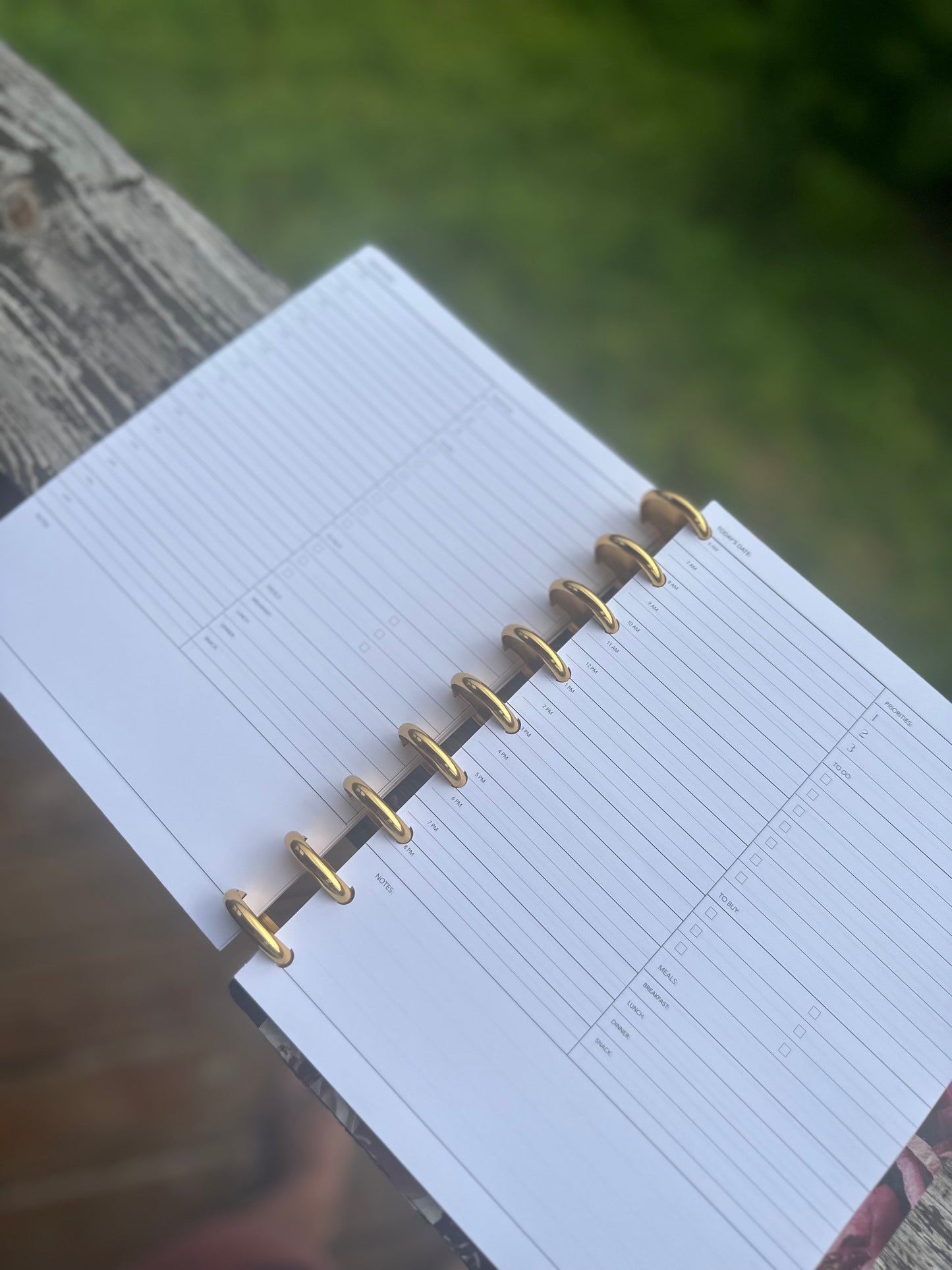 Signature 6 Month Planner | Discs
