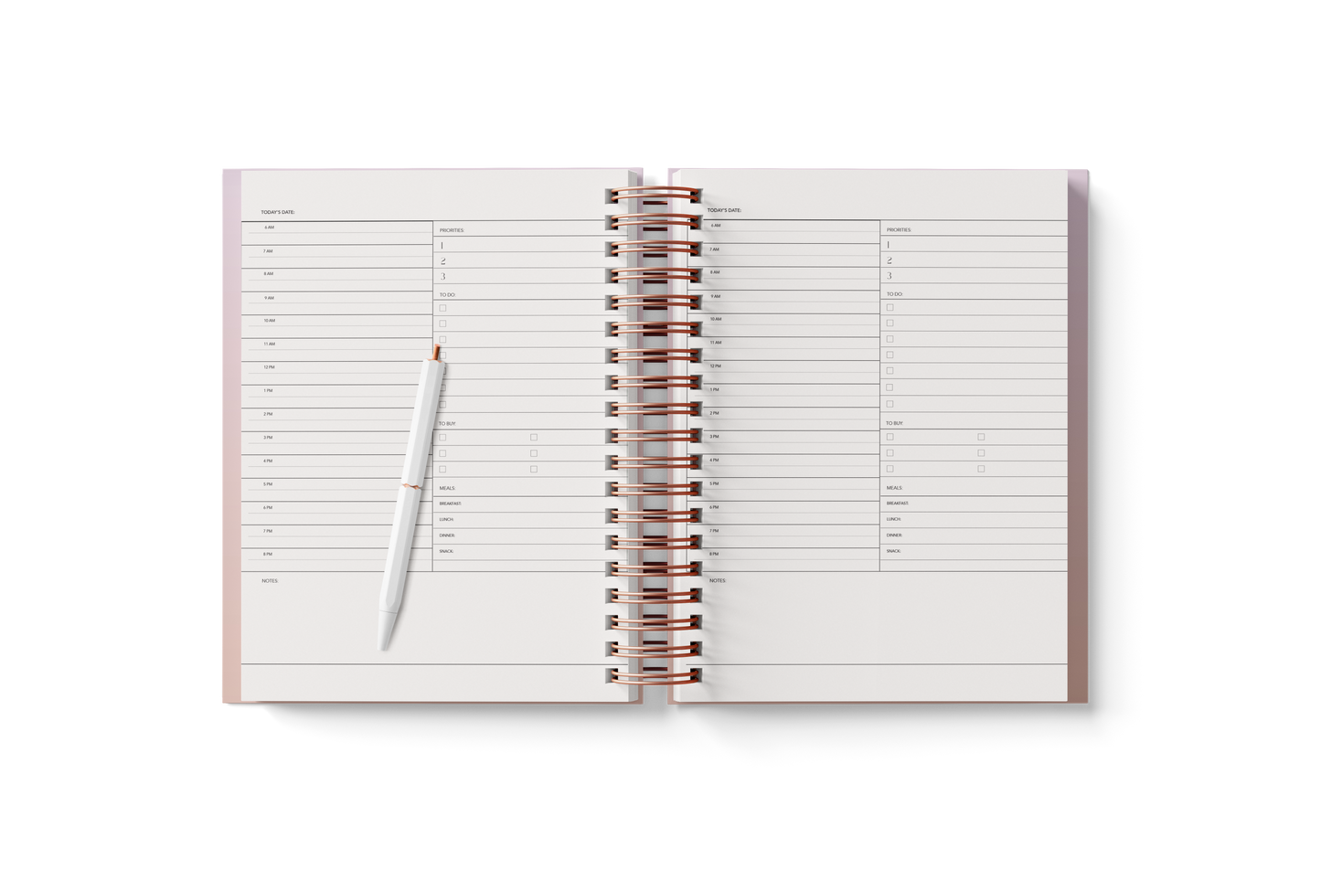 6 Month Planner