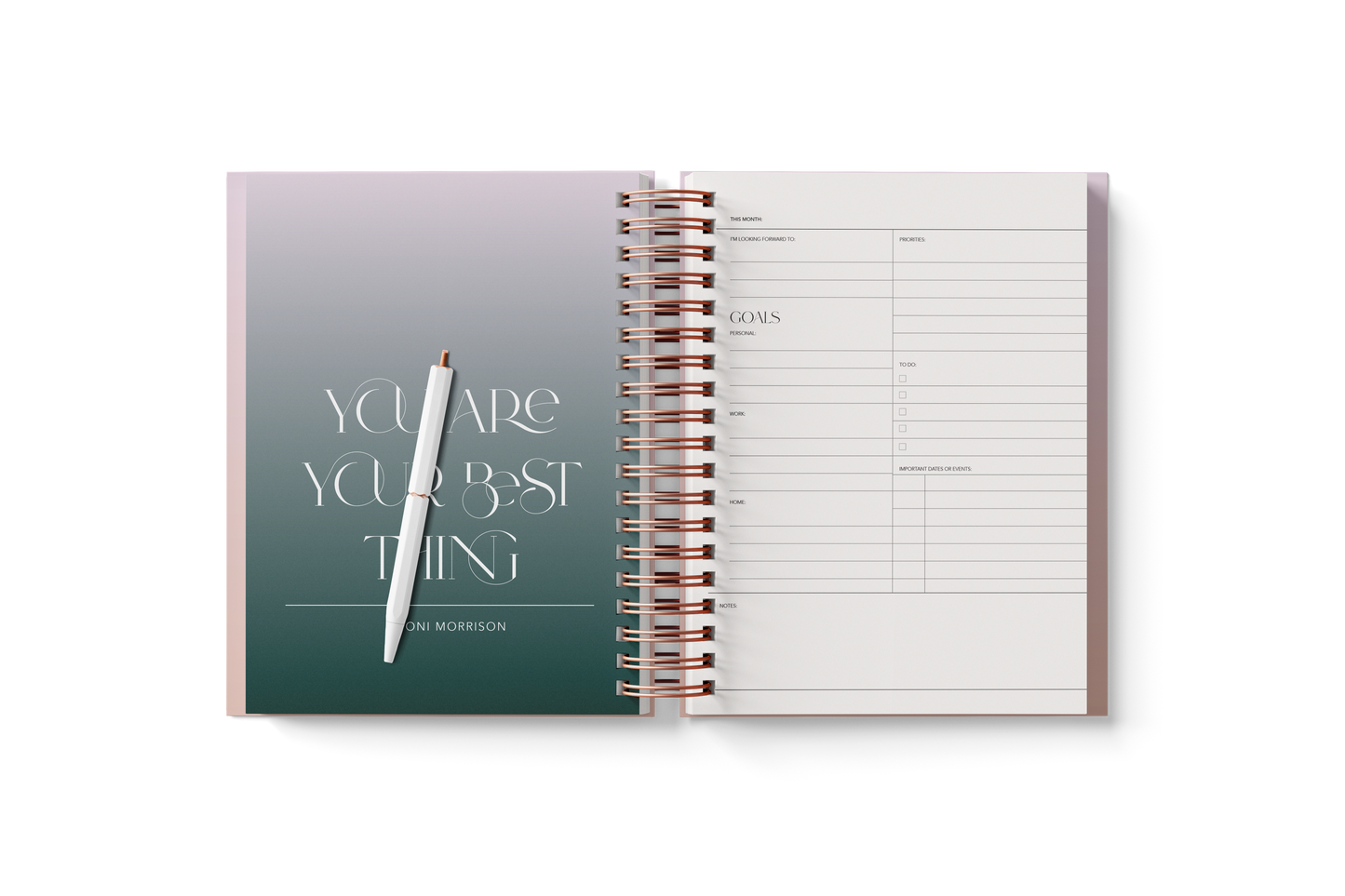 6 Month Planner