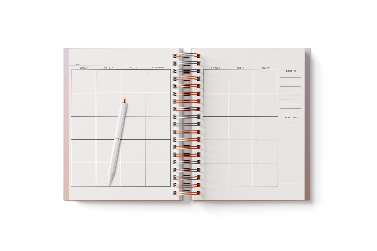 6 Month Planner