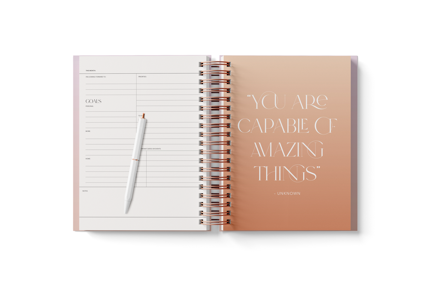 6 Month Planner