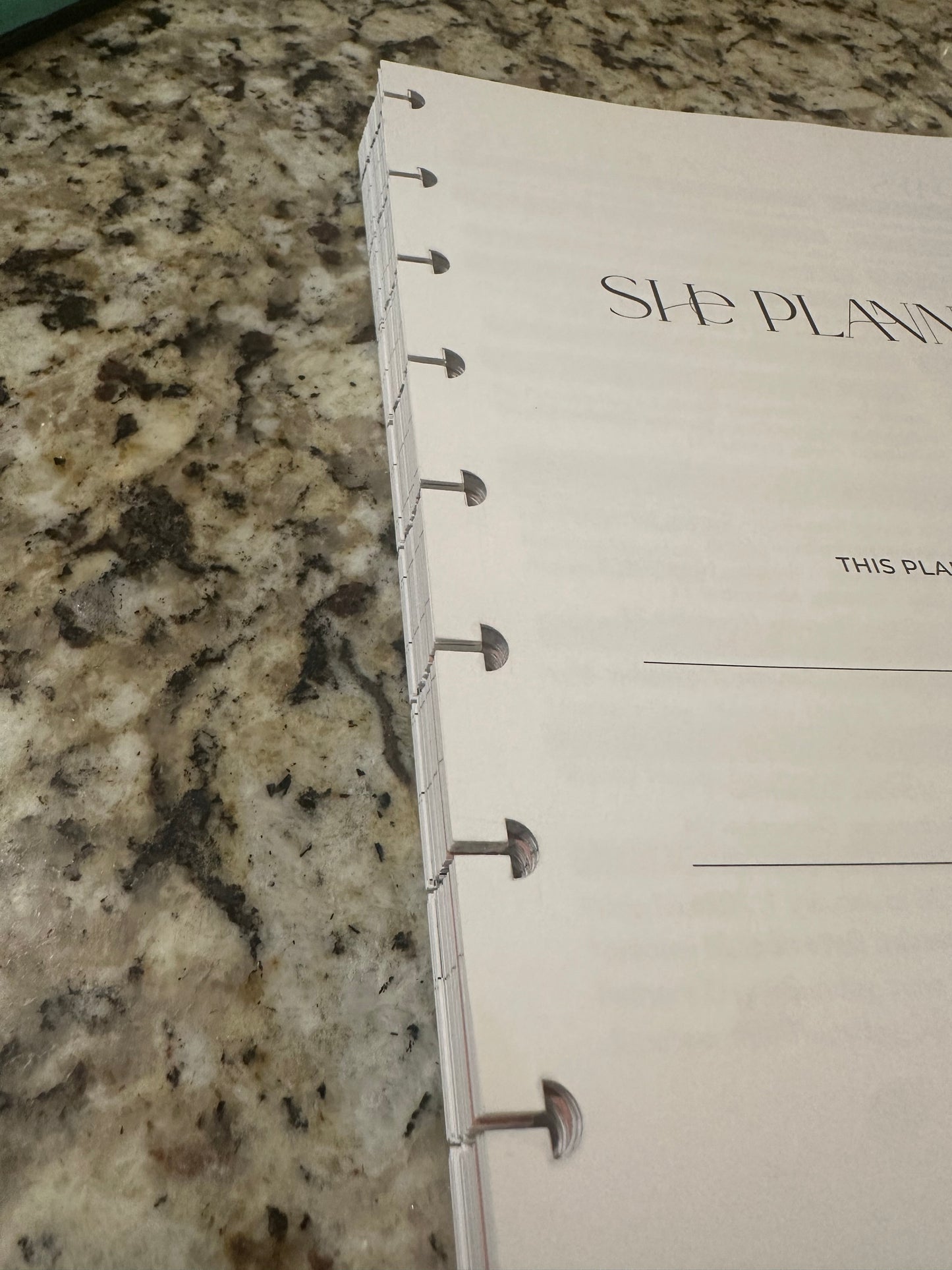 Signature 6 Month Planner | Discs